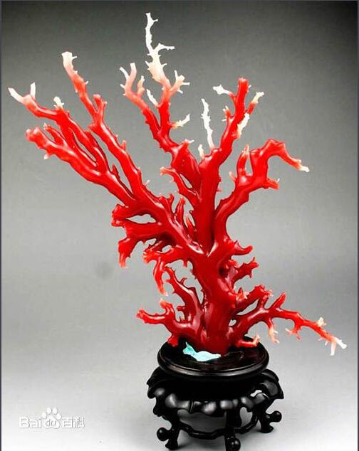 红珊瑚（有机宝石）-2